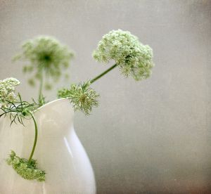 Pictures of vases - jug Vase.jpg